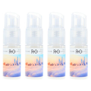 R+CO SKYLINE Dry Shampoo Powder 1 oz 4 Pack