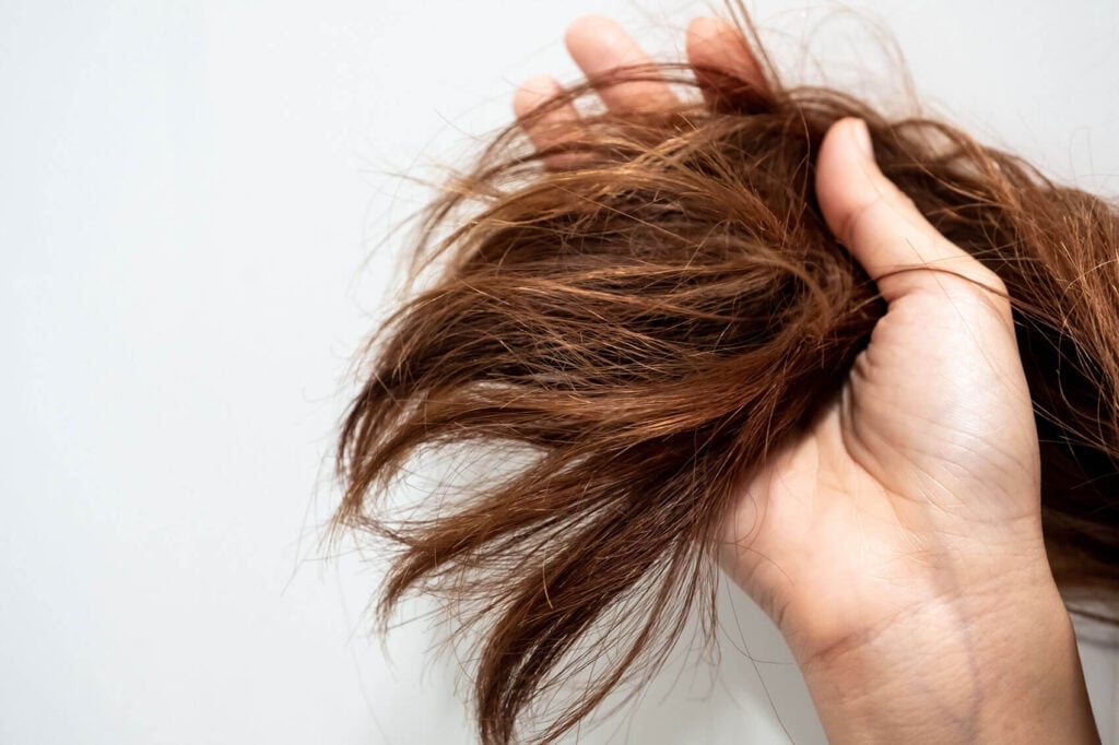 Beauty Blog Close-up hand holding dry damaged hair problem