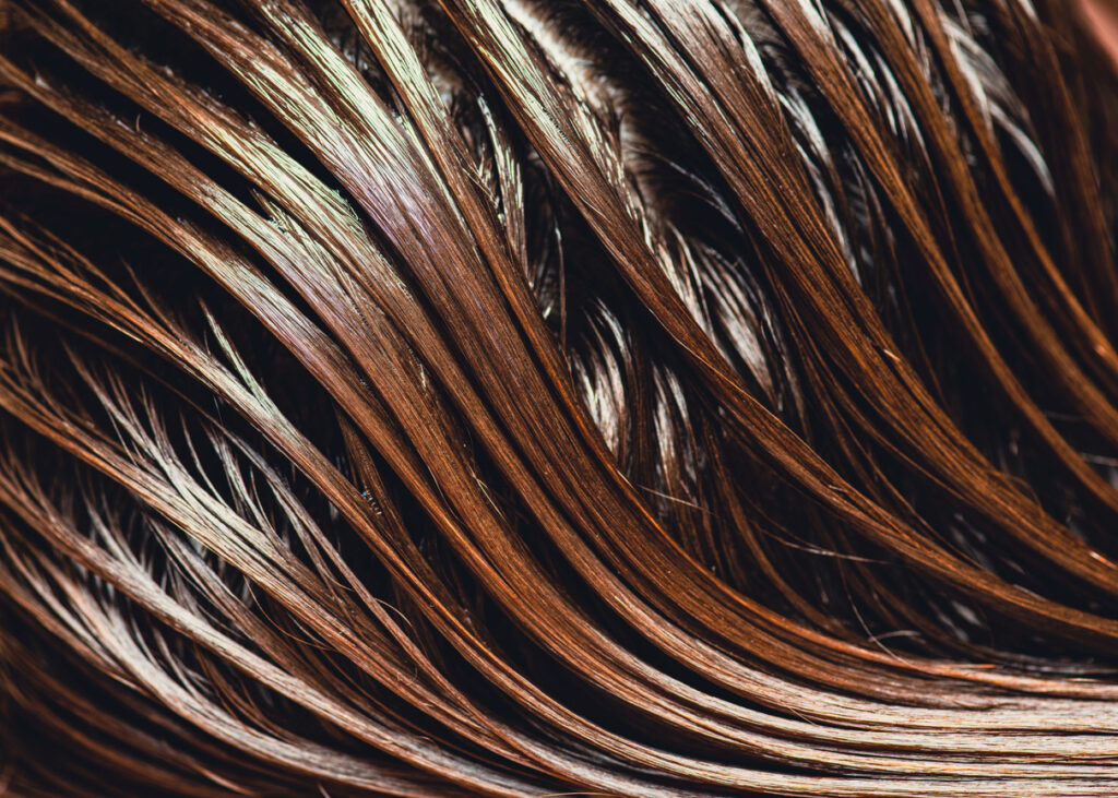 Beauty Blog Beautiful wet long hair of a girl. Hair coloring