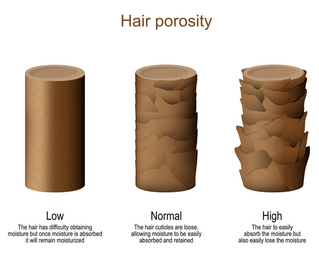 Hair porosity stock illustration