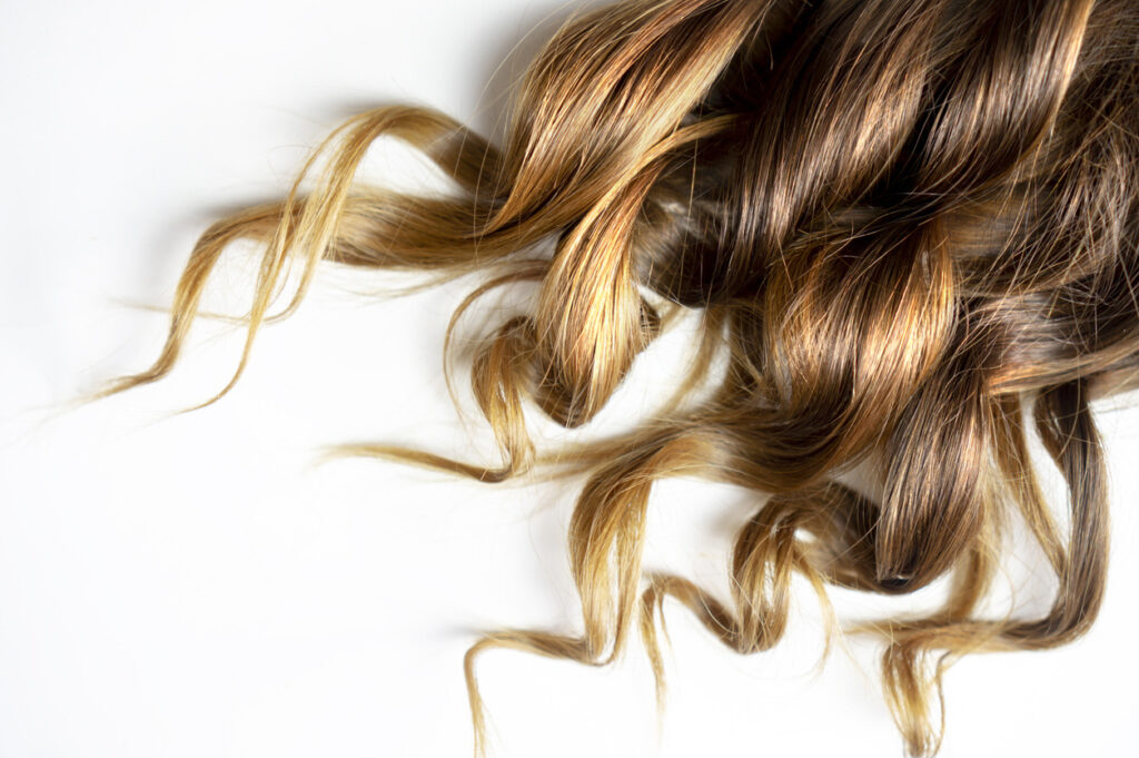 long brown curly hair on white isolated background