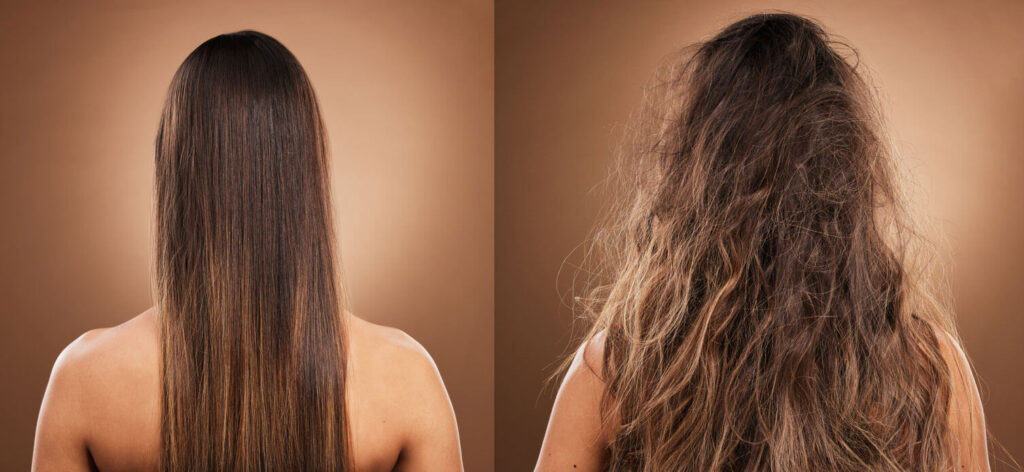 Hair Care woman in studio with shiny clean vs tangled hair