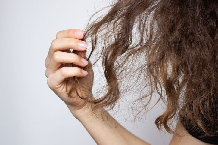 Woman holding tangled dry hair in hand stock photo