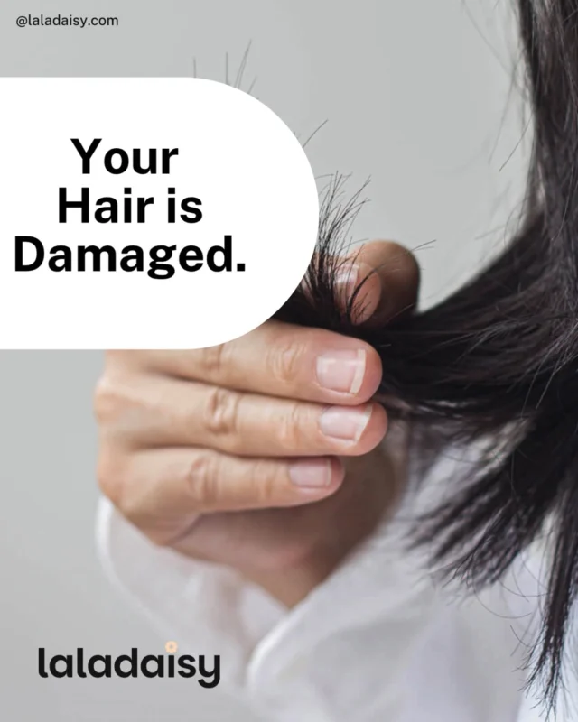 🌸 How to Repair Damaged Hair Fast: A Step-by-Step Recovery Plan 💧✨

You can feel it—the rough texture, the breakage, the frizz that won’t quit. Damaged hair shows up fast… but so can your recovery.

This guide gives you a simple, direct plan to help restore strength and softness—starting now.

Link in bio or visit LaLaDaisy.com 🌿

#LaLaDaisy #HairCare #DamagedHair #HairRepair #HealthyHairJourney #HairTips #BeautyRoutine #HairHealth #SelfCare #HairGoals