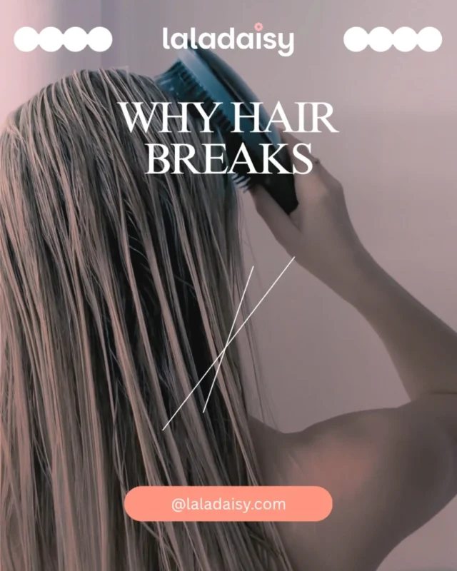 🌸 Hair breaking when you brush?

It may not be your hair—it could be how you’re brushing it. 💇‍♀️

Learn what causes brushing breakage and simple ways to help prevent it. ✨
👉 Read more at the link in our bio.

#HairCare #HairBreakage #HealthyHair #HairTips #HairCareTips #HairBrushing #HairHealth #HealthyHairJourney #BeautyTips #LaLaDaisy